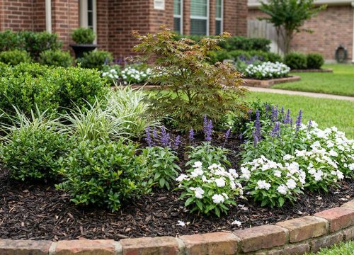 landscape design