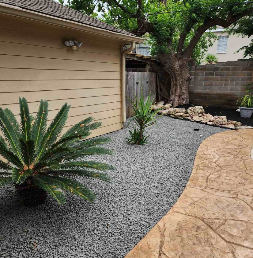 Side yard with a gravel bed, sago palm and stamped concrete path