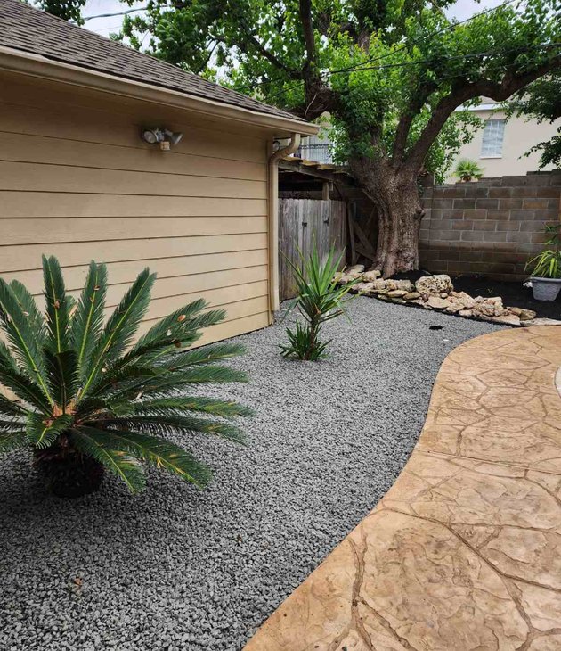 gravel bed with a sago palm beside a stamped concrete patio in a Houston backyard