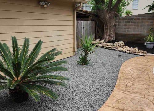 gravel bed with a sago palm beside a stamped concrete patio in a Houston backyard