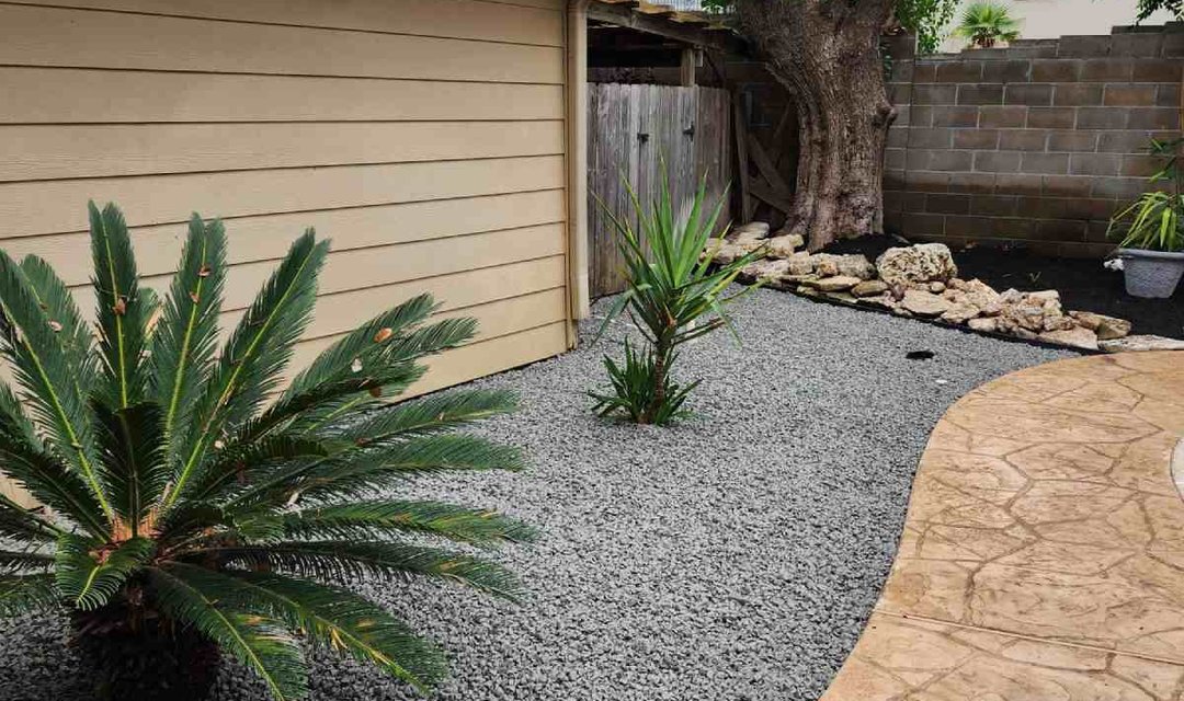 Backyard landscaping with gravel beds, a sago palm and a stamped concrete path